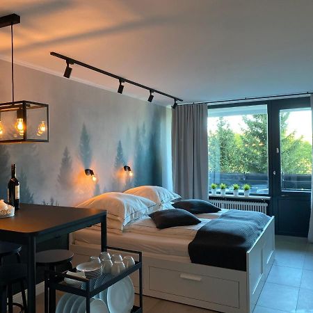 Schwarzwald Wohnung Kniebis Фройденштадт Екстер'єр фото