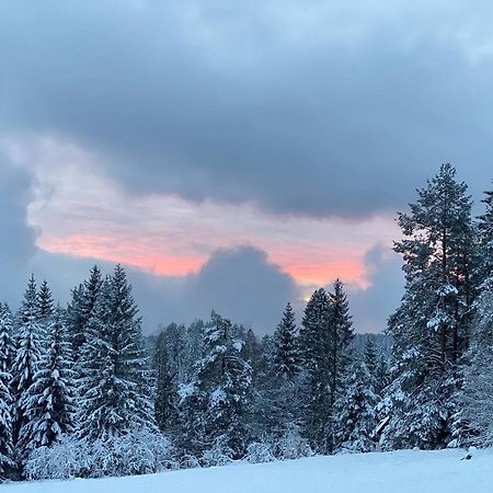Schwarzwald Wohnung Kniebis Фройденштадт Екстер'єр фото
