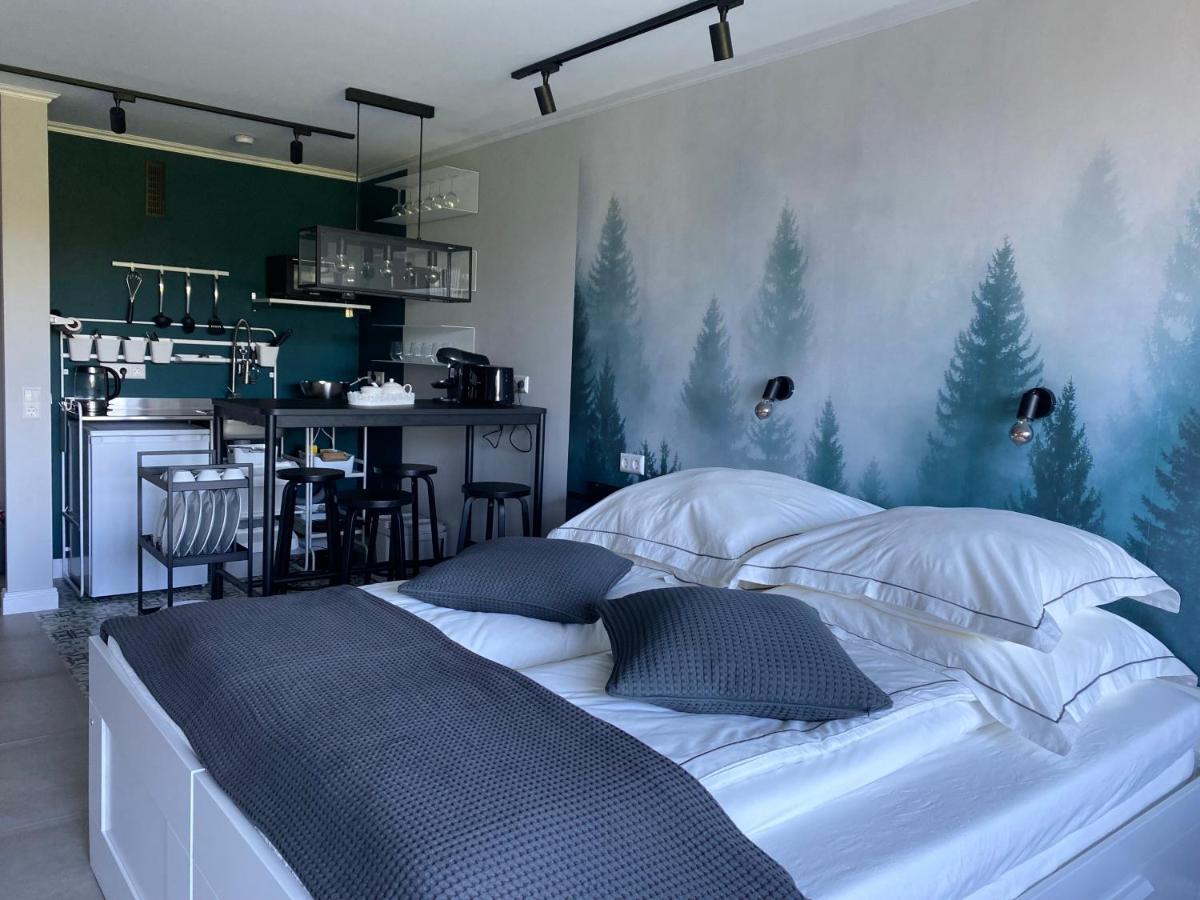 Schwarzwald Wohnung Kniebis Фройденштадт Екстер'єр фото