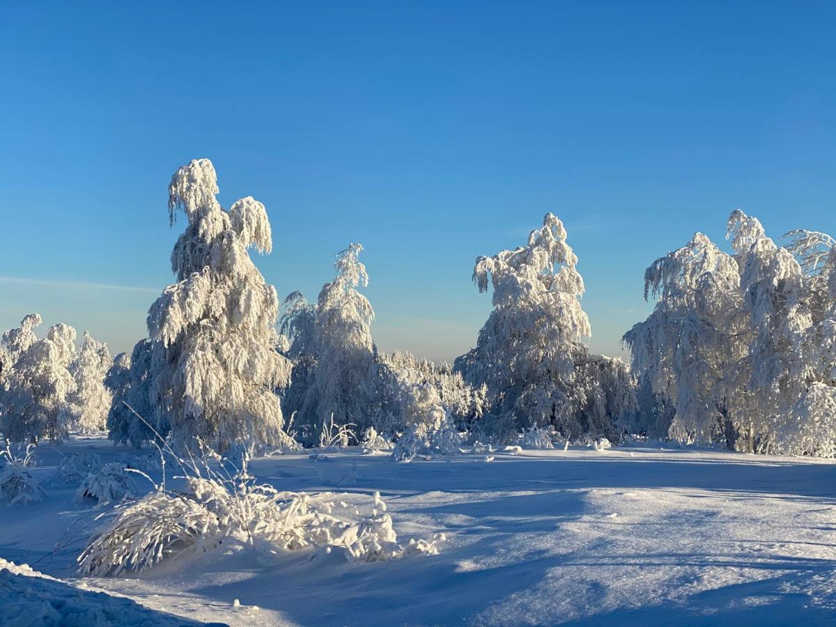 Schwarzwald Wohnung Kniebis Фройденштадт Екстер'єр фото