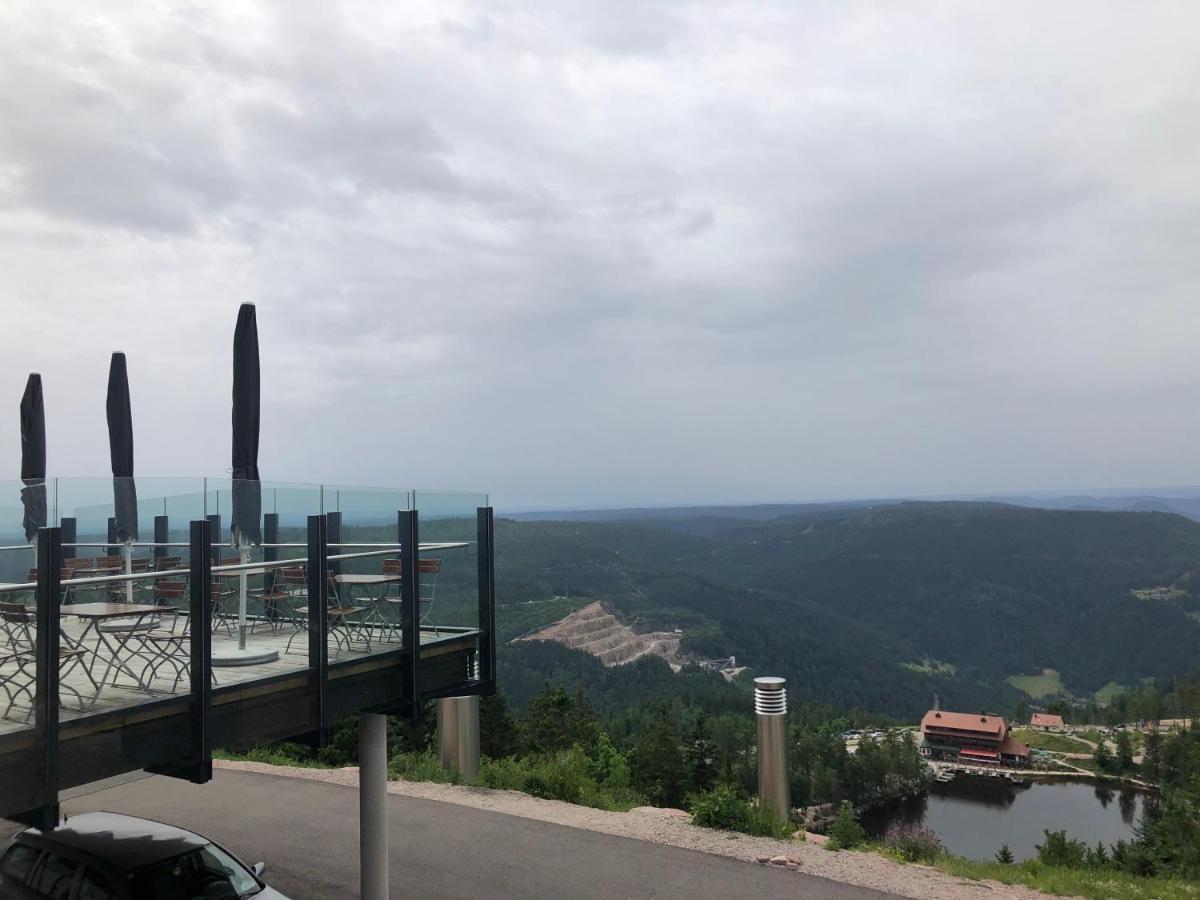 Schwarzwald Wohnung Kniebis Фройденштадт Екстер'єр фото
