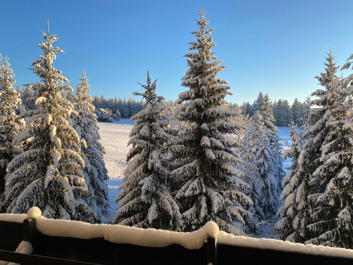 Schwarzwald Wohnung Kniebis Фройденштадт Екстер'єр фото