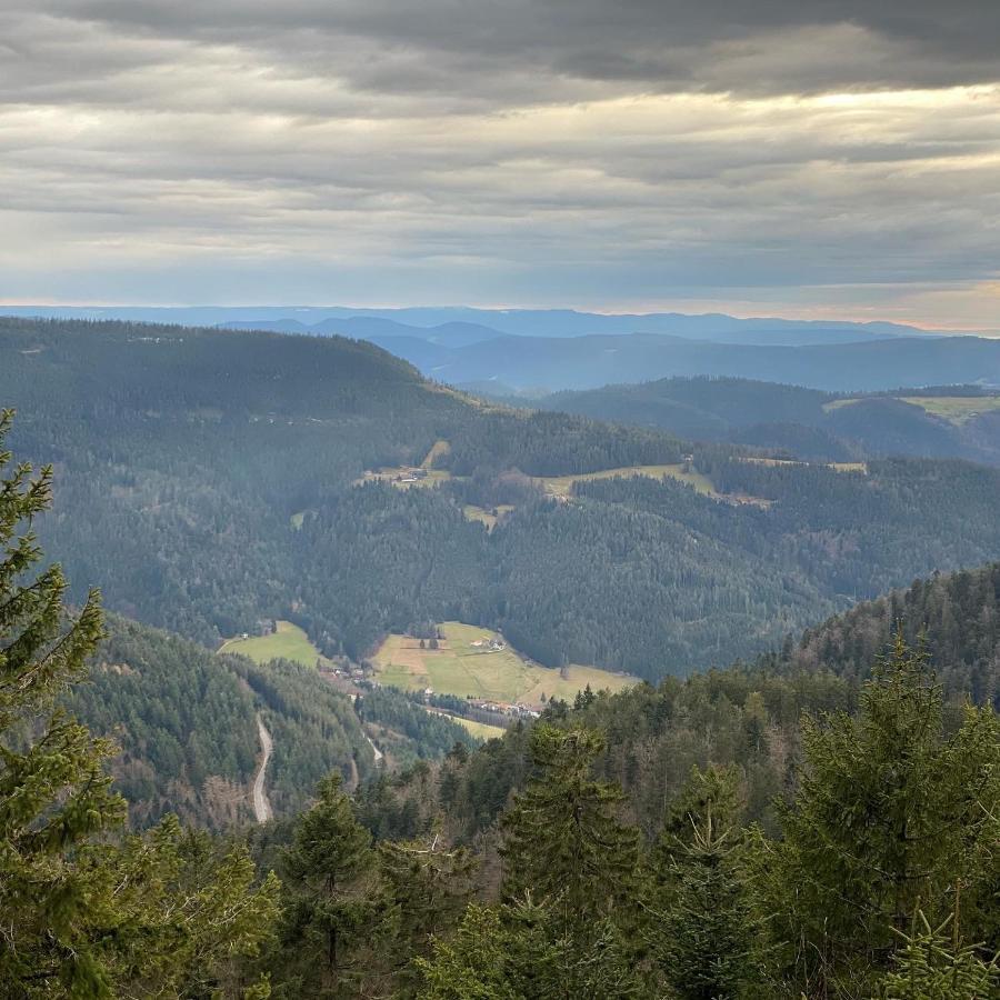 Schwarzwald Wohnung Kniebis Фройденштадт Екстер'єр фото